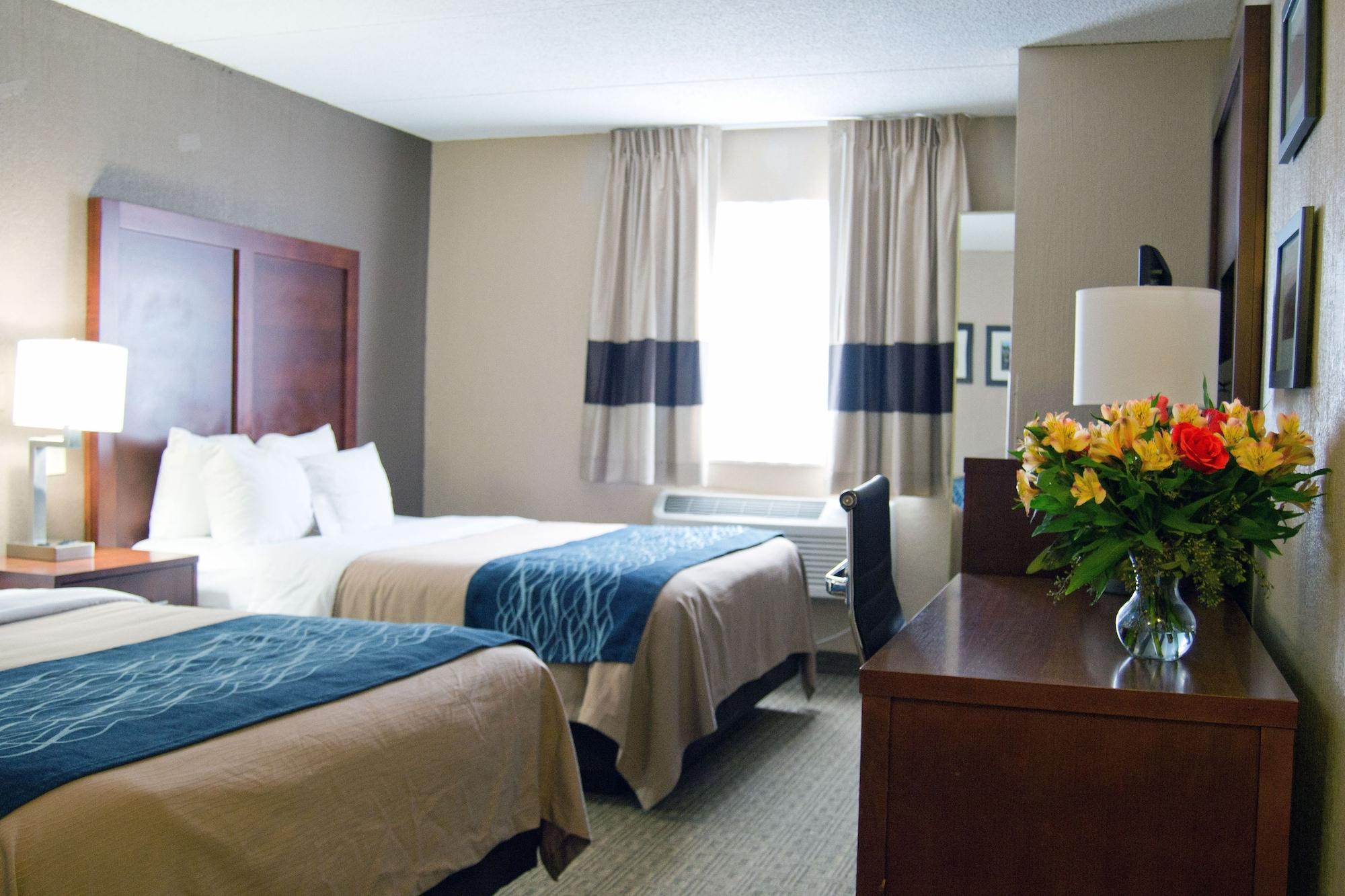 Comfort Inn University Amherst Exterior photo